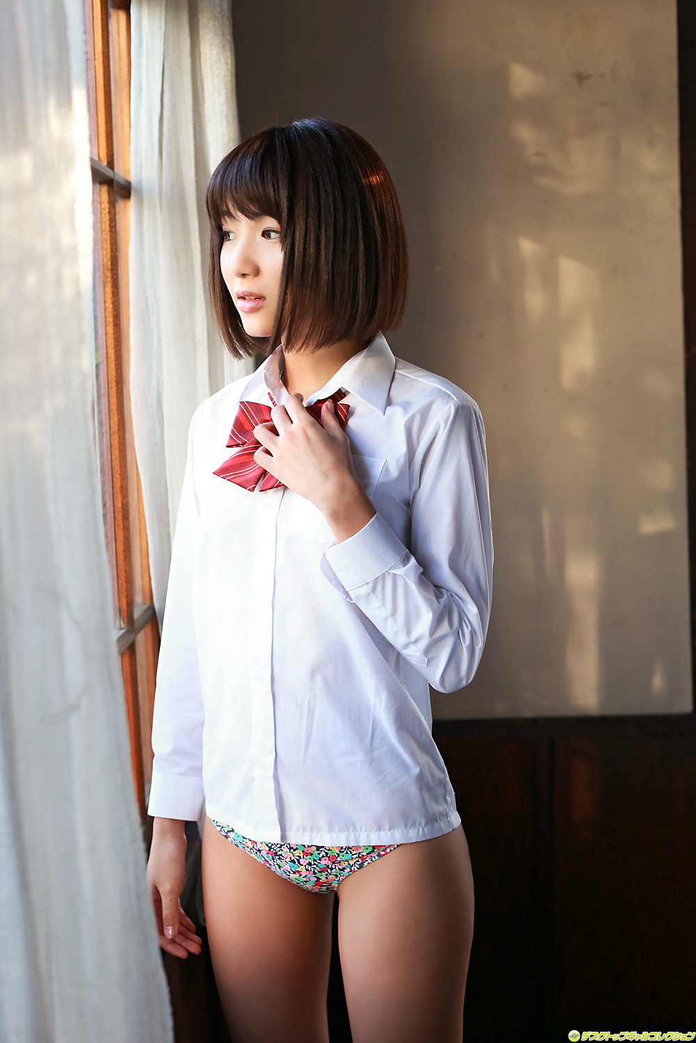 [DGC] 2013.12 No.1132 Naoho Ichihashi 市橋直歩